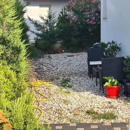 Doki Basement 아파트 풀라